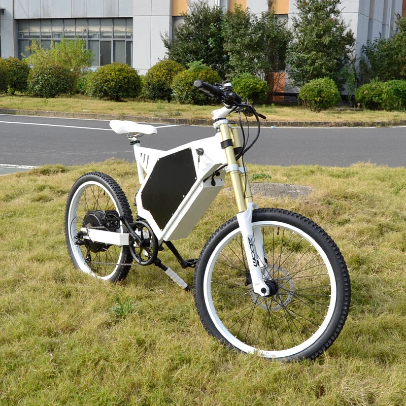 1000W 48V Fat Tire Electric Mountain Bike for Adults – Beach Cruiser E-Bike with Big Tires