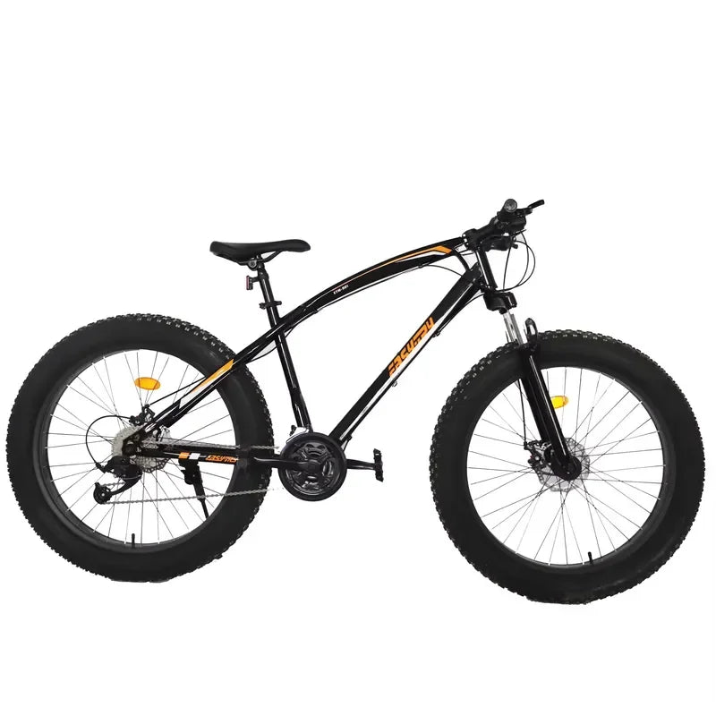 Factory Direct Sales of Fat Tire Beach & Snow Cruiser Bicycles with Disc Brakes and Steel Frame for Sports