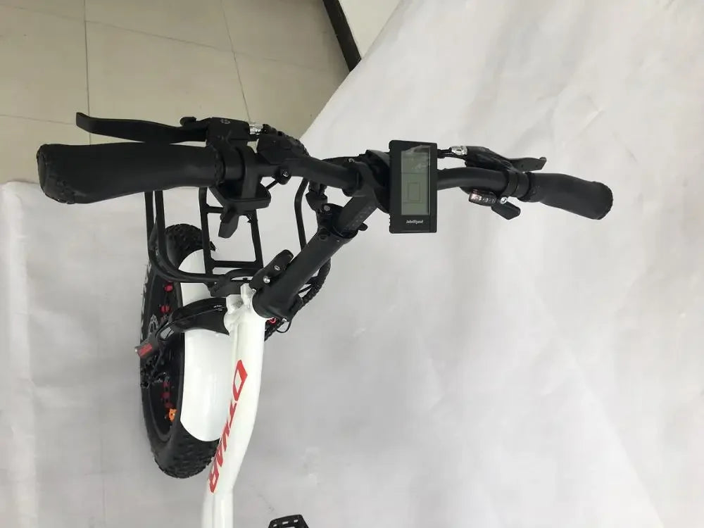 2024 Hot Sale Cargo Electric Tricycle 48V Front Hub Motor 3 Wheel Fat Tire Electric Mountain bike
