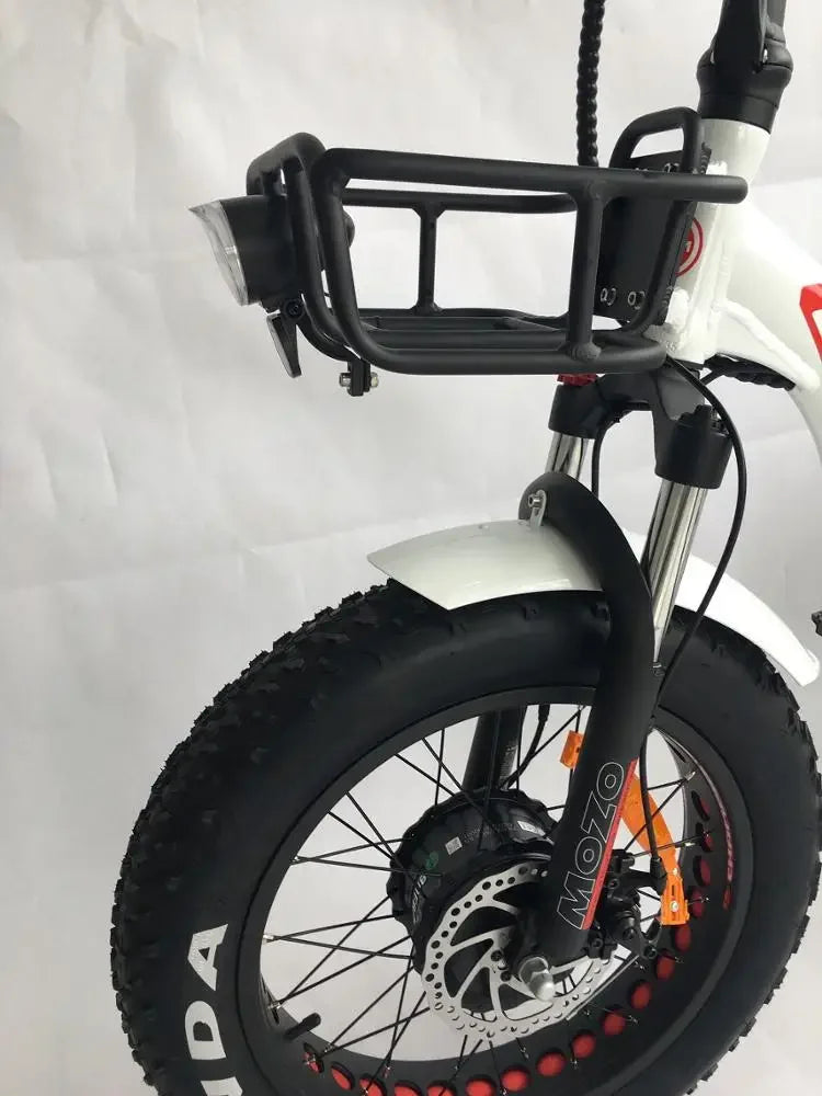 2024 Hot Sale Cargo Electric Tricycle 48V Front Hub Motor 3 Wheel Fat Tire Electric Mountain bike
