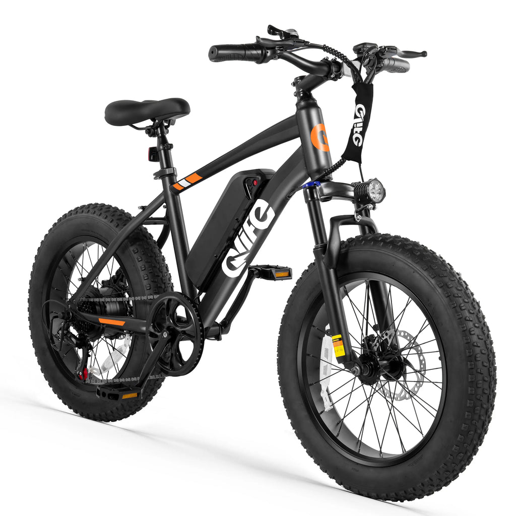 Qlife Racer Fat Tire Electric Bike for Adults, 20"×4.0" Fat Tire Electric Mountain Bike, Peak 1200W 48V 10.4Ah,  28MPH 55 Miles  Electric Bicycle, 7-Speed