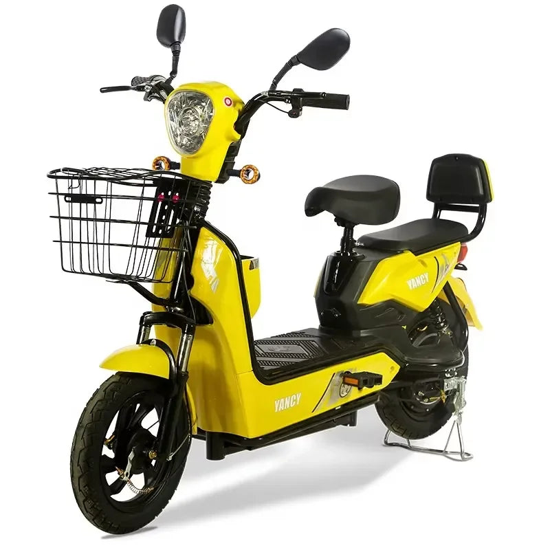 Paige Factory SaleElectric Bicycle Motor Scooter ODM/OEM 48V 250W EU for Cheap E Bike Mini Electric City Bike Woman Pedicab