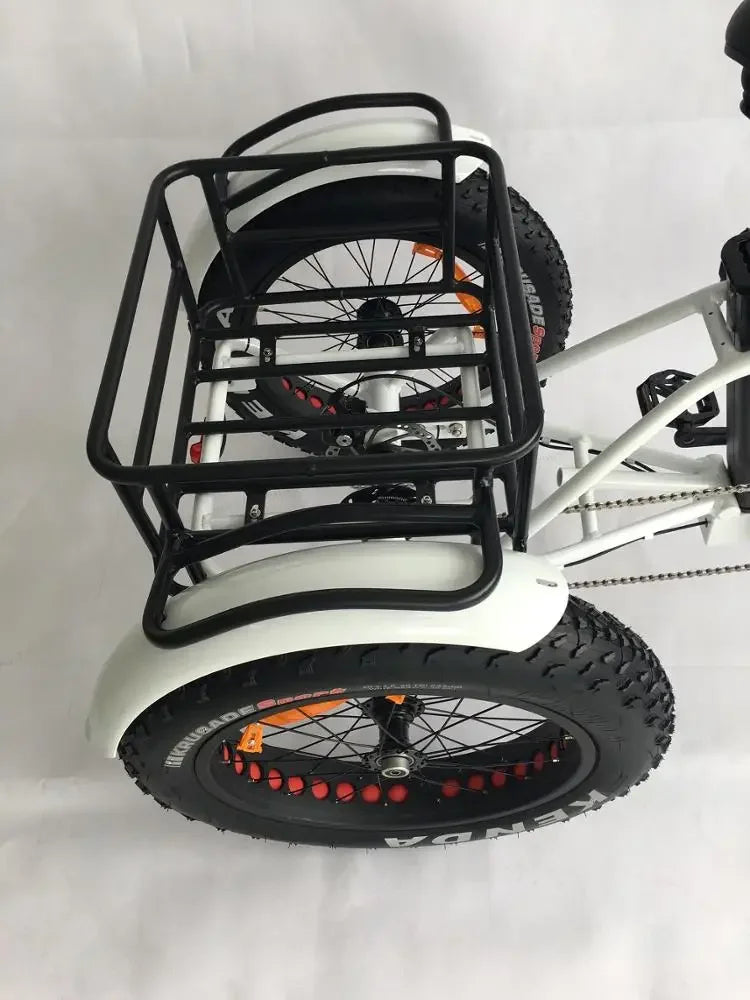 2024 Hot Sale Cargo Electric Tricycle 48V Front Hub Motor 3 Wheel Fat Tire Electric Mountain bike