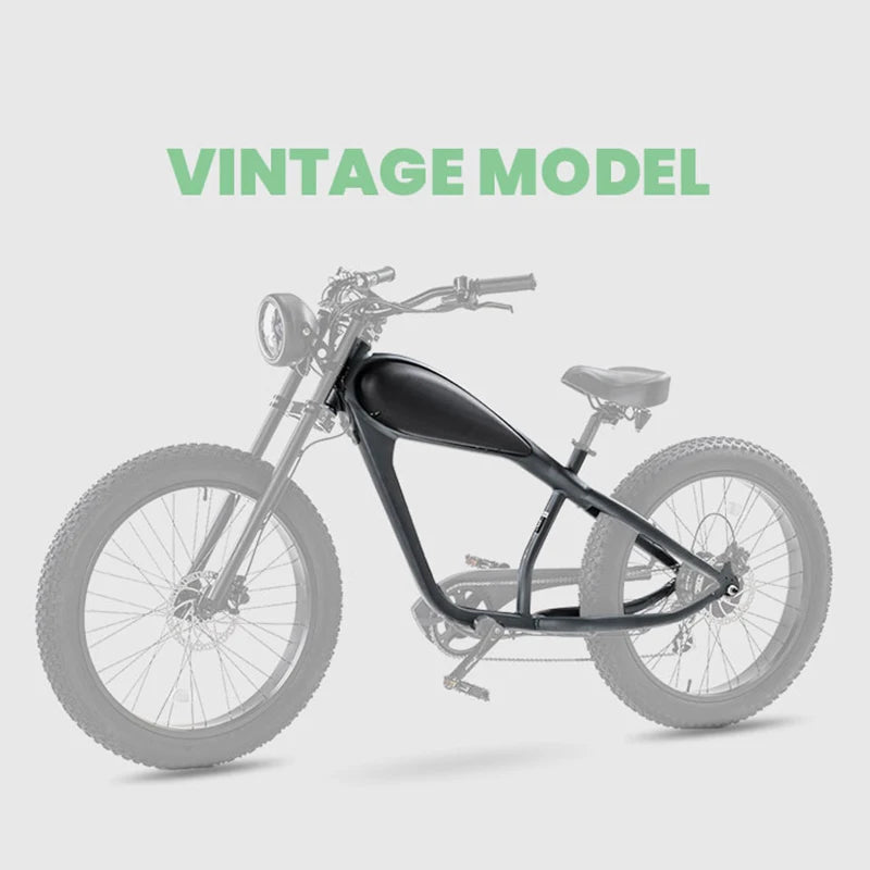 Clrak E Bike 750w 48v Electric Retro Vintage Bike China's Cheap Motorized Fat Mtb Bicycle with Lithium Battery Power Supply