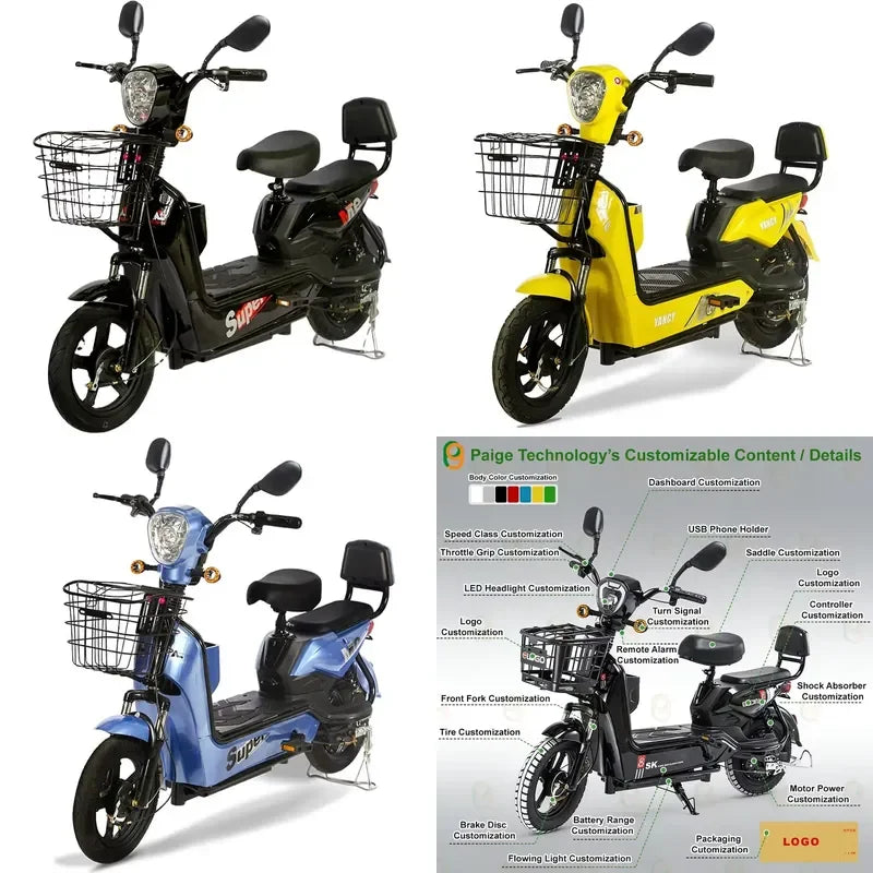 Paige Factory SaleElectric Bicycle Motor Scooter ODM/OEM 48V 250W EU for Cheap E Bike Mini Electric City Bike Woman Pedicab