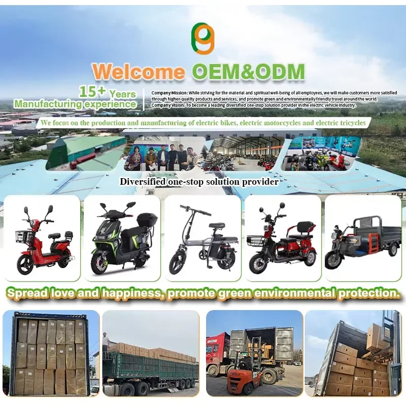 Paige Factory SaleElectric Bicycle Motor Scooter ODM/OEM 48V 250W EU for Cheap E Bike Mini Electric City Bike Woman Pedicab