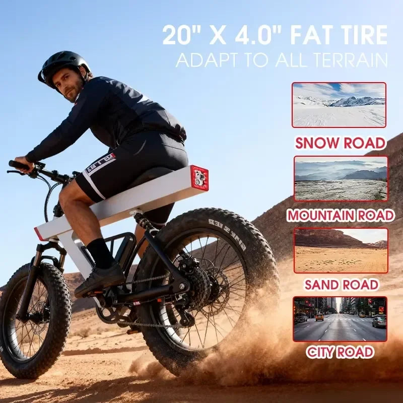 New Arrival 500W Adults Electric Bike Bicycle 48V 20 Inch Off-Road Tire Electric E Bikes City Mountain Ebike with