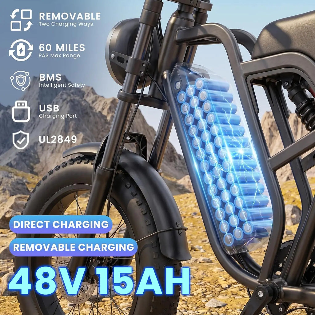 Electric Bike for Adults, 1500W Peak Motor，48V 15Ah，Removable Battery | 20" Fat Tire All-Terrain E-Bike, Dual, Customized