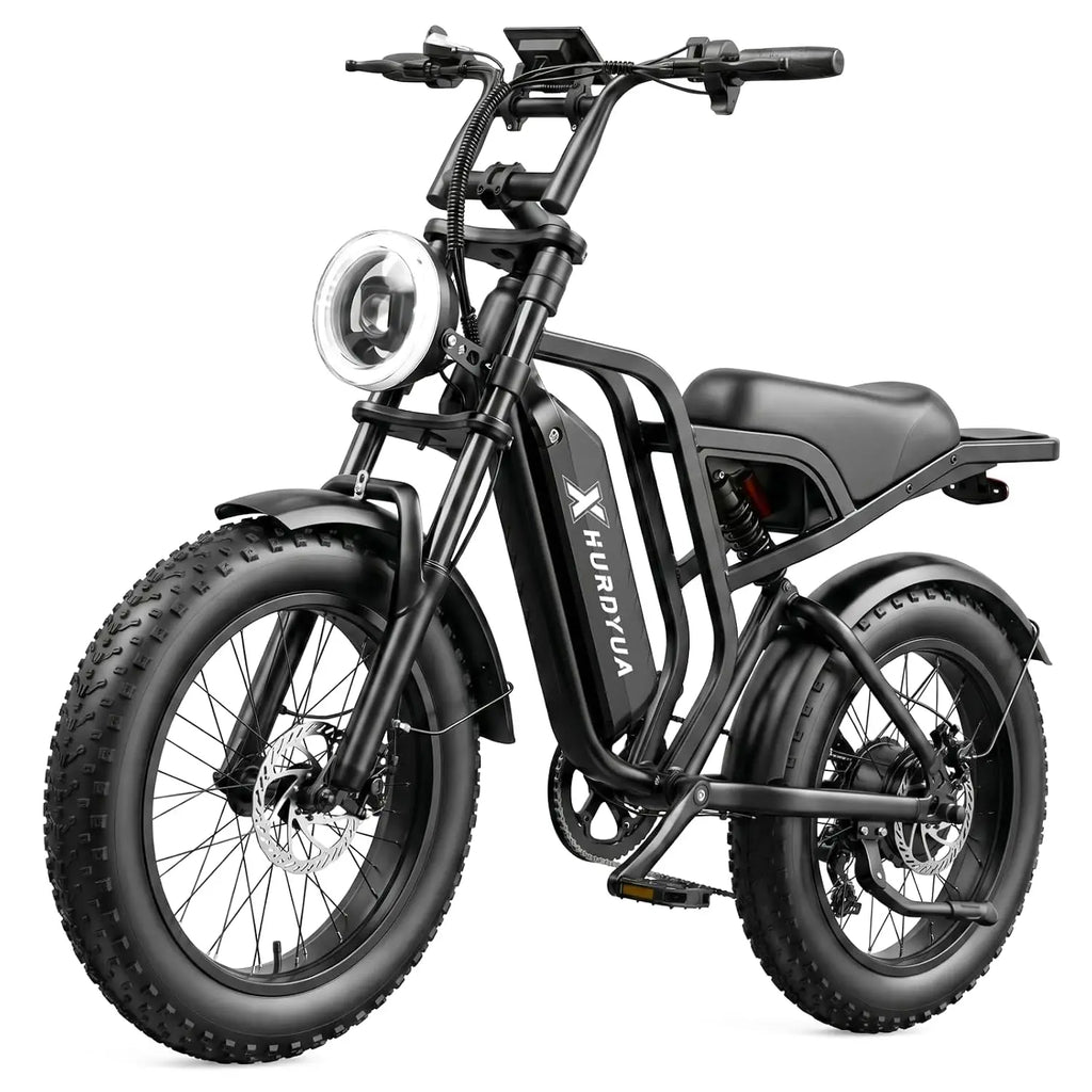 Electric Bike for Adults, 1500W Peak Motor，48V 15Ah，Removable Battery | 20" Fat Tire All-Terrain E-Bike, Dual, Customized