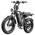 Electric Bike for Adults, 1500W Peak Motor，48V 15Ah，Removable Battery | 20" Fat Tire All-Terrain E-Bike, Dual, Customized