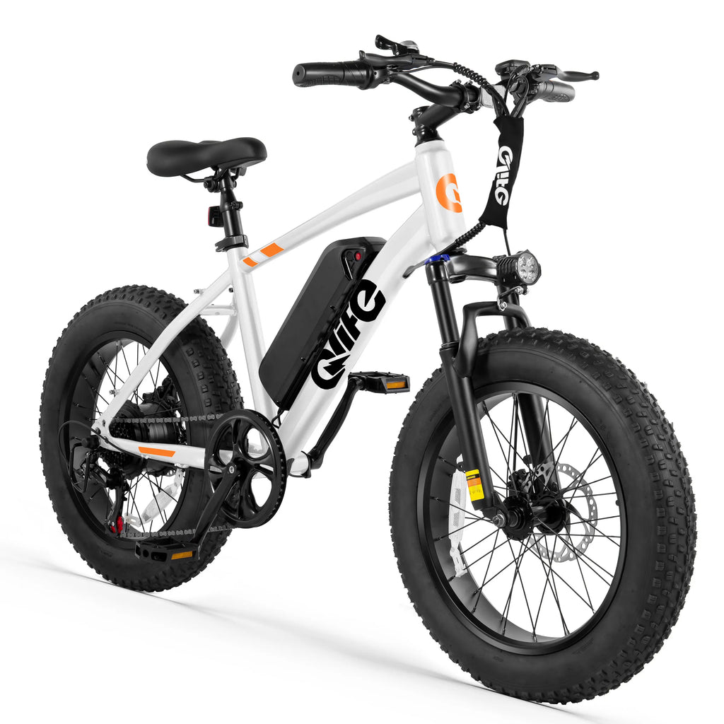Qlife Racer Fat Tire Electric Bike for Adults, 20"×4.0" Fat Tire Electric Mountain Bike, Peak 1200W 48V 10.4Ah,  28MPH 55 Miles  Electric Bicycle, 7-Speed