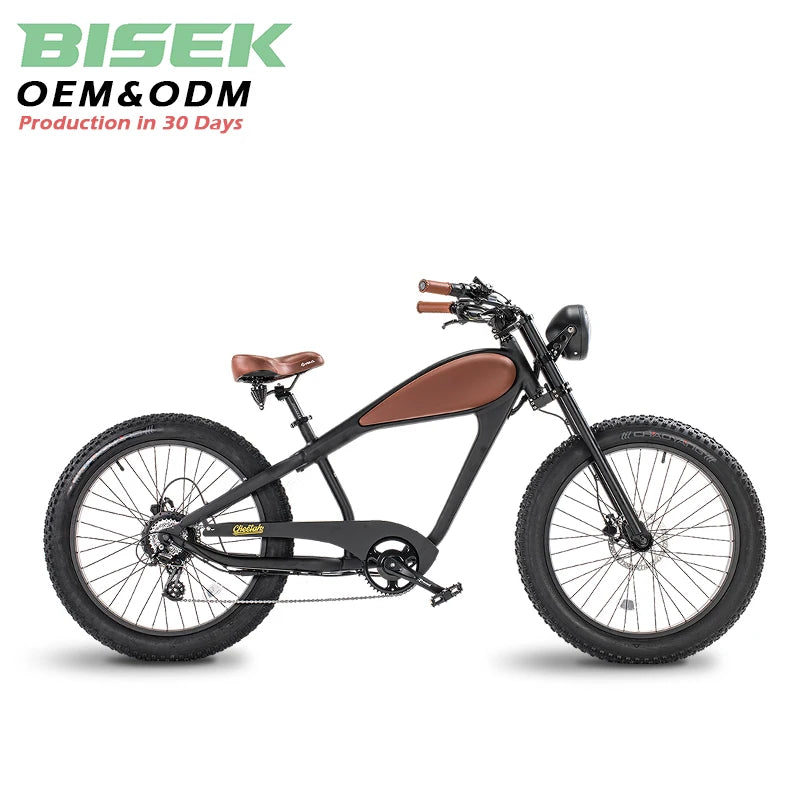 Clrak E Bike 750w 48v Electric Retro Vintage Bike China's Cheap Motorized Fat Mtb Bicycle with Lithium Battery Power Supply