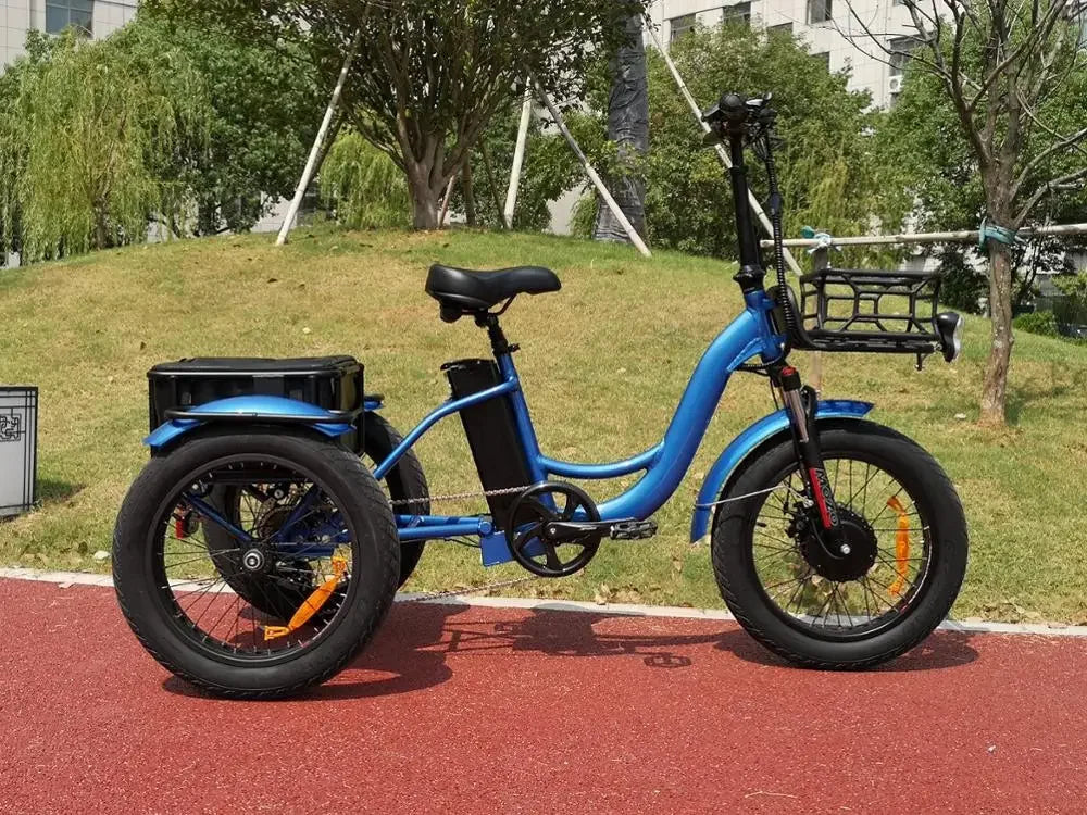 2024 Hot Sale Cargo Electric Tricycle 48V Front Hub Motor 3 Wheel Fat Tire Electric Mountain bike
