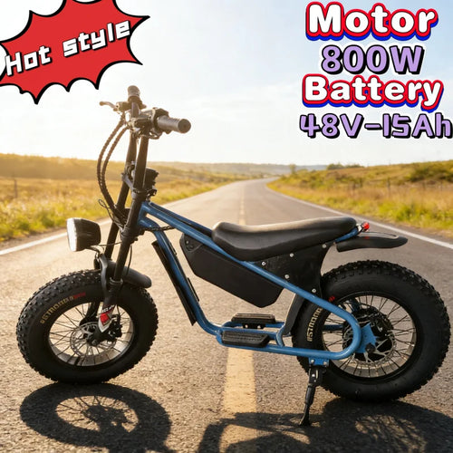 16-inch retro E-Bike, 800W smart motor children's electric scooter, 48V15AH energy-saving lithium battery electric bicycle