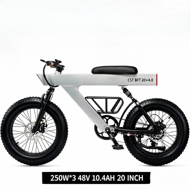 New Arrival 500W Adults Electric Bike Bicycle 48V 20 Inch Off-Road Tire Electric E Bikes City Mountain Ebike with
