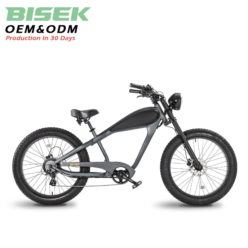 Clrak E Bike 750w 48v Electric Retro Vintage Bike China's Cheap Motorized Fat Mtb Bicycle with Lithium Battery Power Supply
