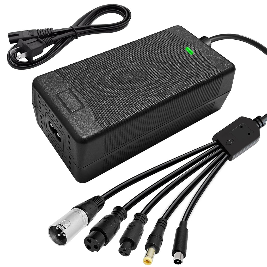 54.6V 2A Charger(5 in1 Plugs) Universal for 2A 54.6V/48V Li-ion Battery，Electric Bicycle Scooter e-Bike Battery Charger