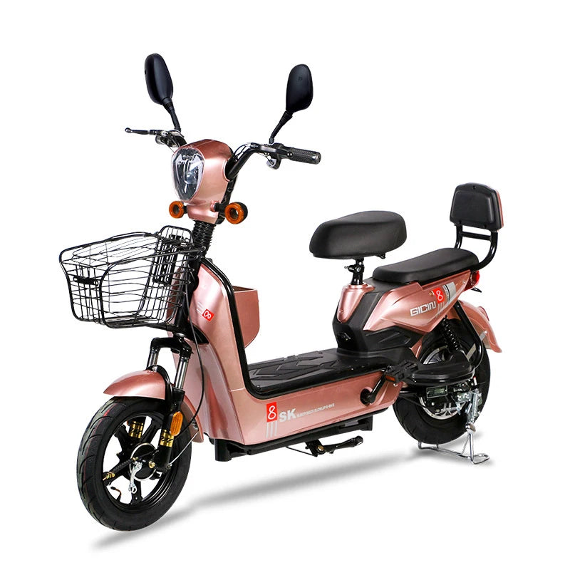 YTYIN 350W Electric City Bike Steel Frame Smart Electronic 48V Ebike Factory Outlet Two Seats Scooter 14-Inch Cheap Electric Bic