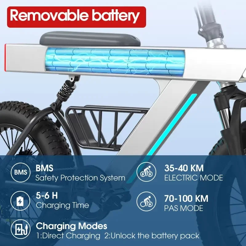 New Arrival 500W Adults Electric Bike Bicycle 48V 20 Inch Off-Road Tire Electric E Bikes City Mountain Ebike with