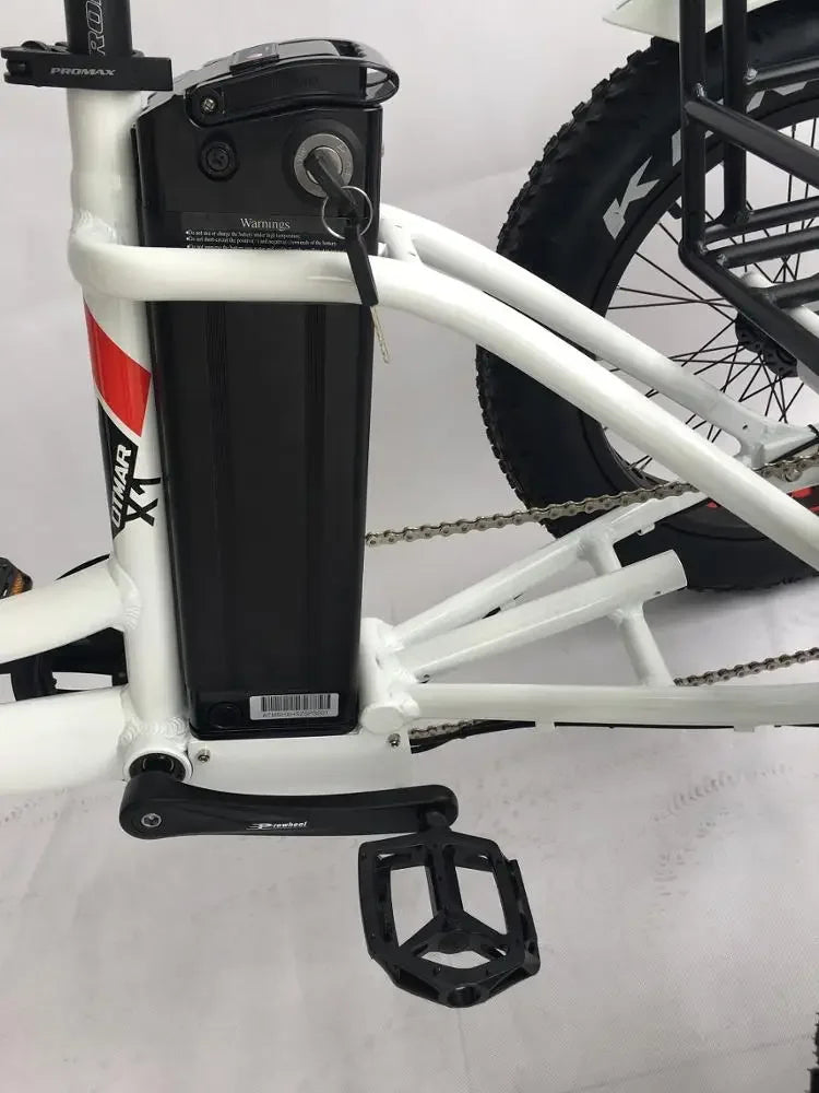 2024 Hot Sale Cargo Electric Tricycle 48V Front Hub Motor 3 Wheel Fat Tire Electric Mountain bike