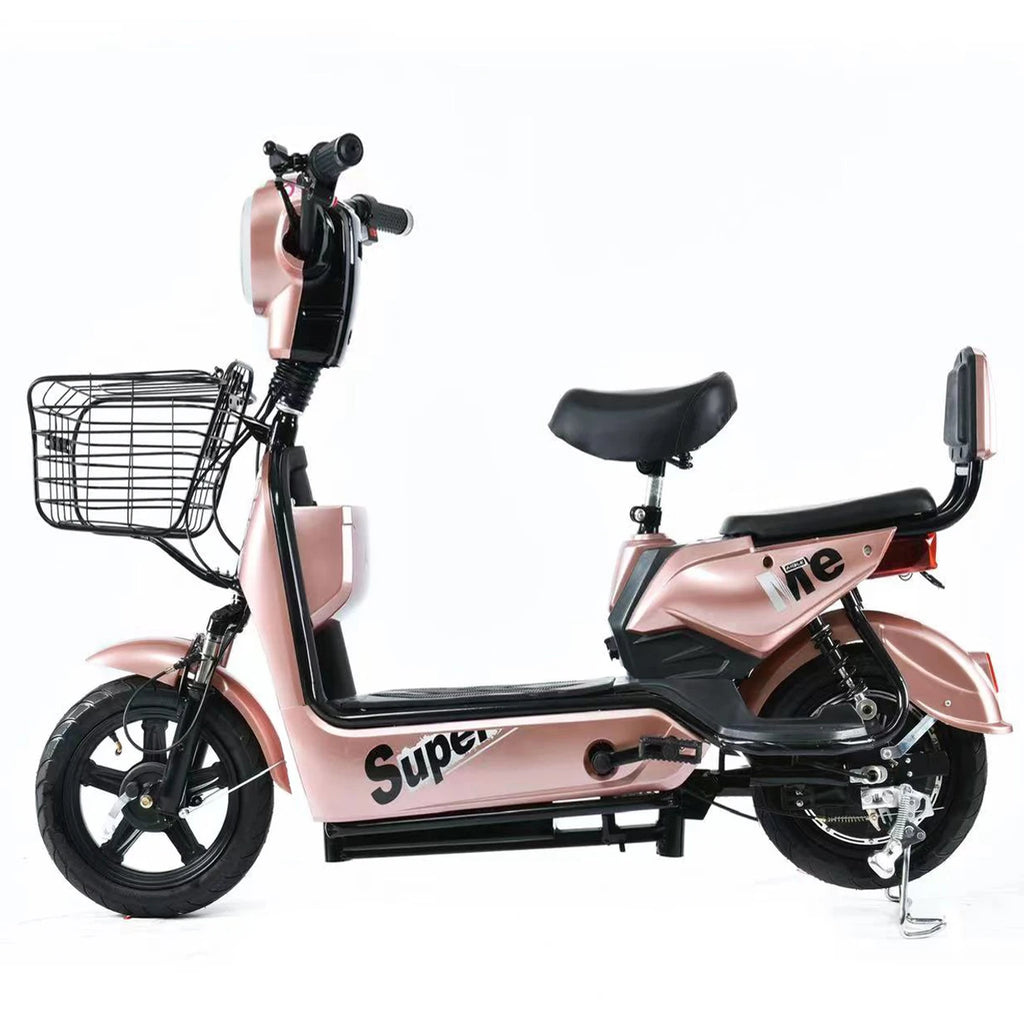 Paige Factory SaleElectric Bicycle Motor Scooter ODM/OEM 48V 250W EU for Cheap E Bike Mini Electric City Bike Woman Pedicab