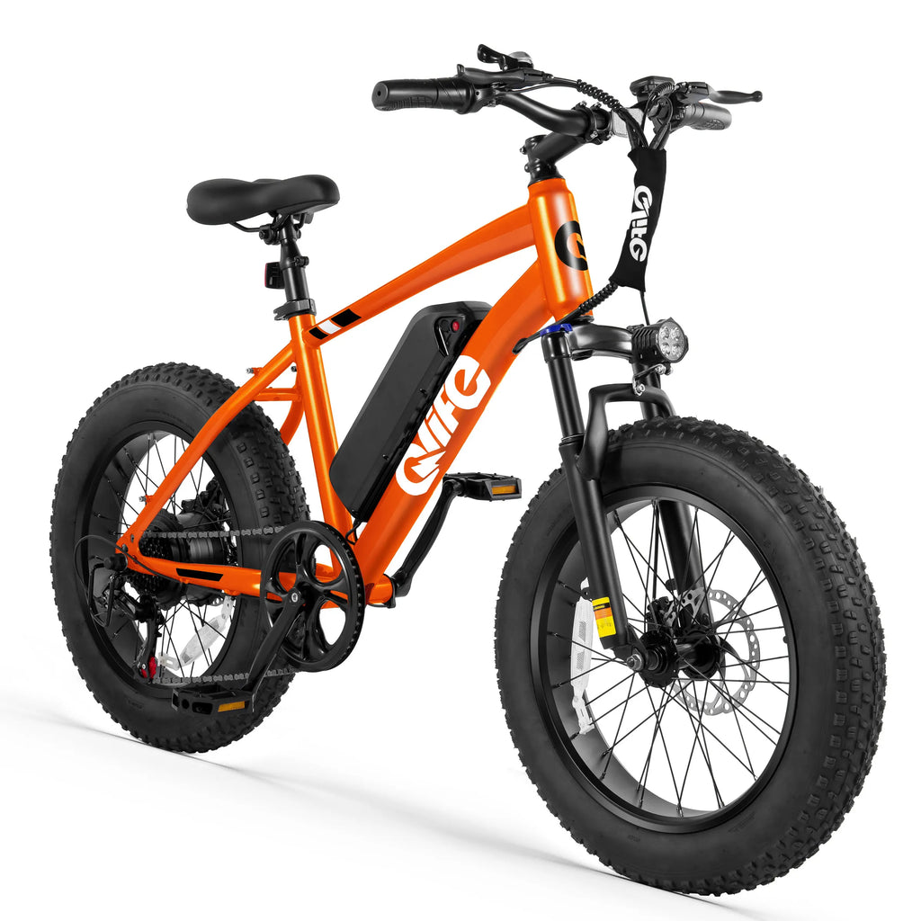 Qlife Racer Fat Tire Electric Bike for Adults, 20"×4.0" Fat Tire Electric Mountain Bike, Peak 1200W 48V 10.4Ah,  28MPH 55 Miles  Electric Bicycle, 7-Speed