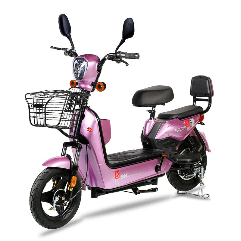 YTYIN 350W Electric City Bike Steel Frame Smart Electronic 48V Ebike Factory Outlet Two Seats Scooter 14-Inch Cheap Electric Bic