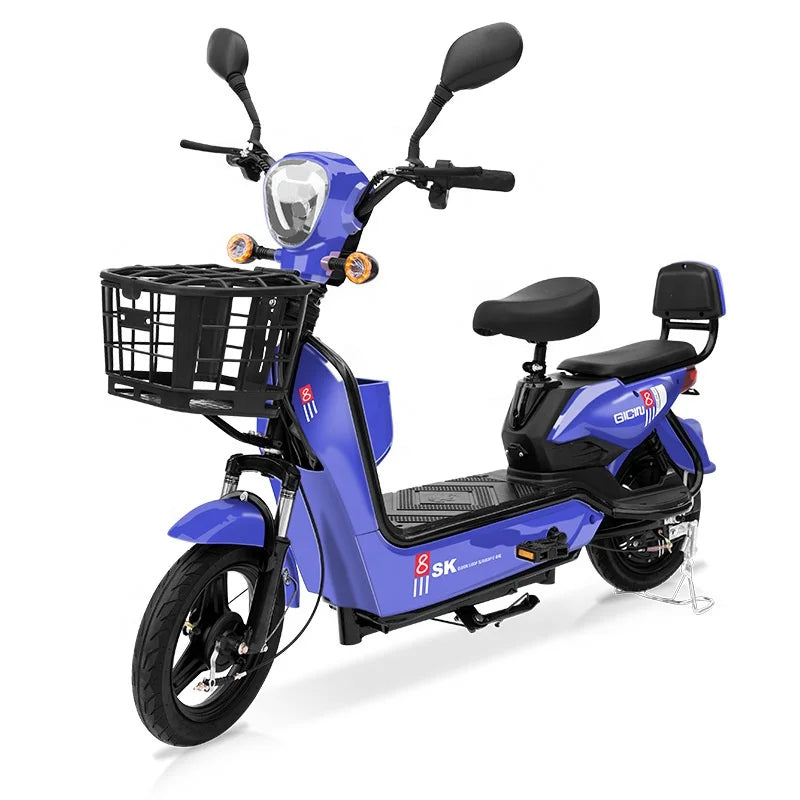 YTYIN 350W Electric City Bike Steel Frame Smart Electronic 48V Ebike Factory Outlet Two Seats Scooter 14-Inch Cheap Electric Bic
